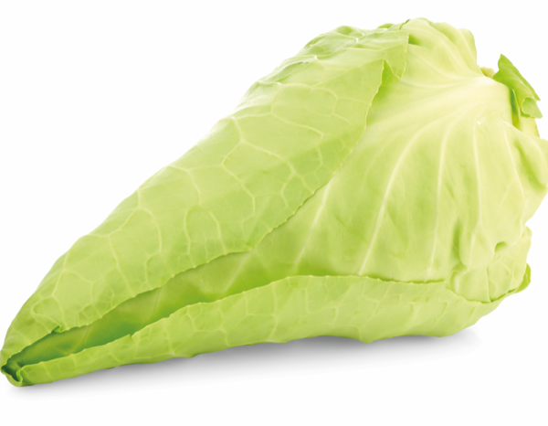 *NATUURLIJK* Gerizim - Spitskool (1 stuk)