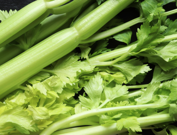 *NATUURLIJK* Gerizim - Bleekselderij stengels (100 gram)