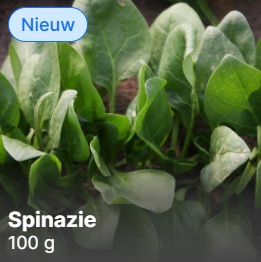 *NATUURLIJK* Gerizim - Spinazie (100 gram)